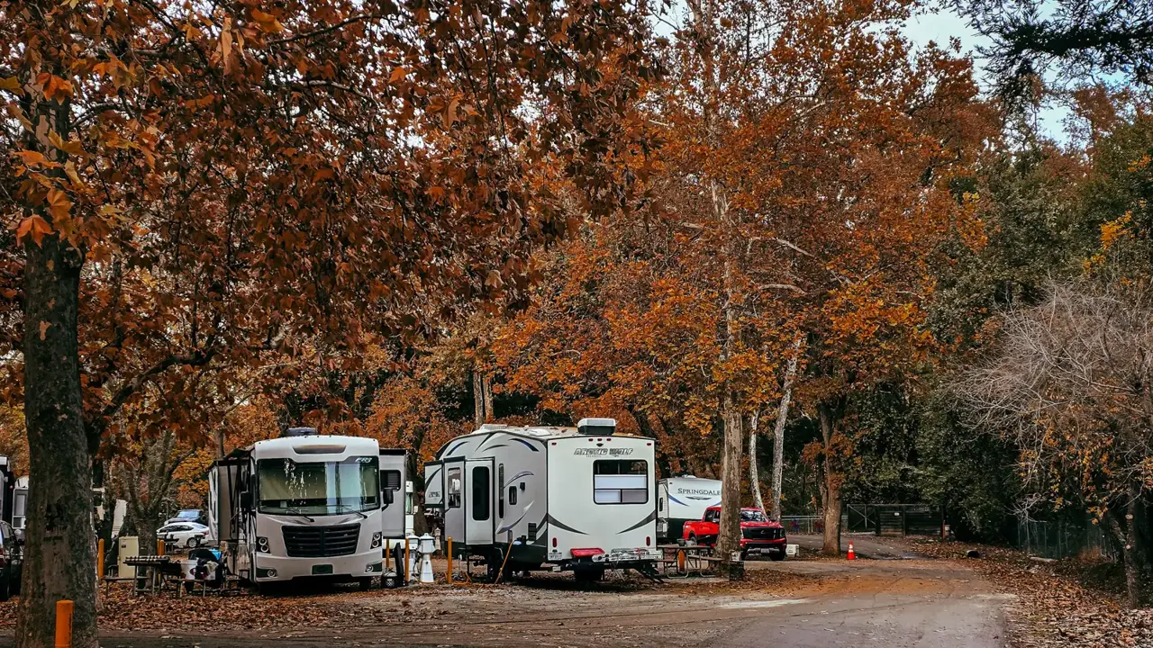 RVs parked at campsites under autumn trees
