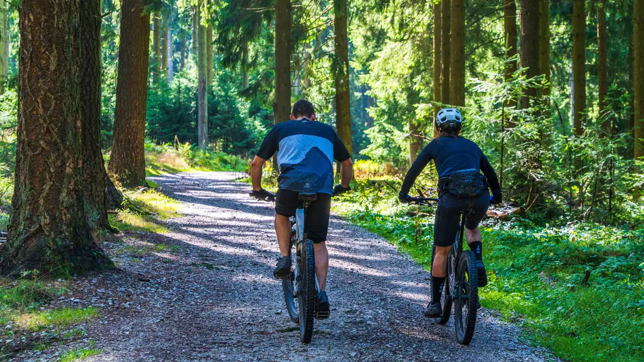 Two mountain bikers riding a gravel trail through a sunlit forest