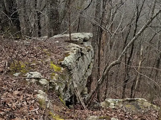 A lichen-covered rock outcrop at the edge of the bluff above a wooded valley