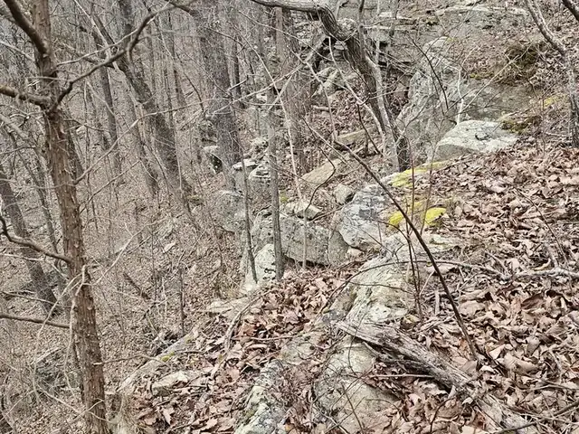 A rocky, leaf-covered route along the bluff edge through bare trees