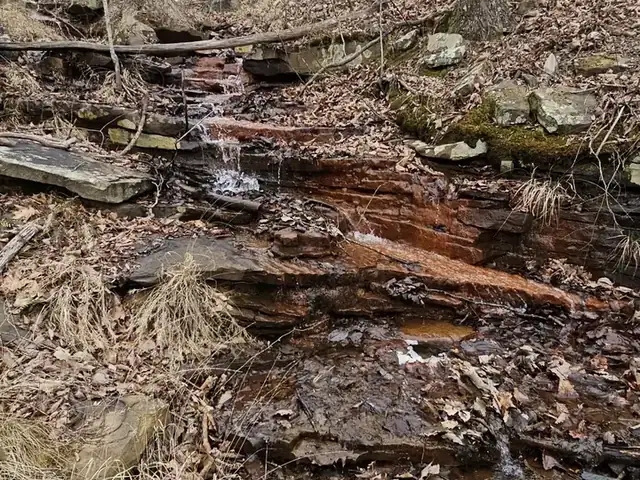 Water cascading over red-stained rock steps in the woods