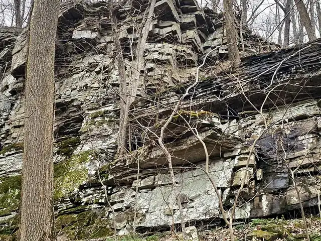 A tall face of stacked, layered rock with moss at its base