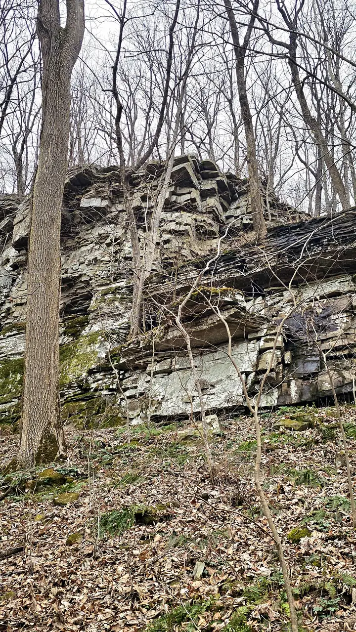 A tall face of stacked, layered rock with moss at its base