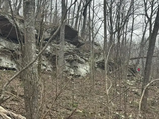 Tall layered rock cliffs among bare trees, with a hiker in a red jacket at the far right for scale