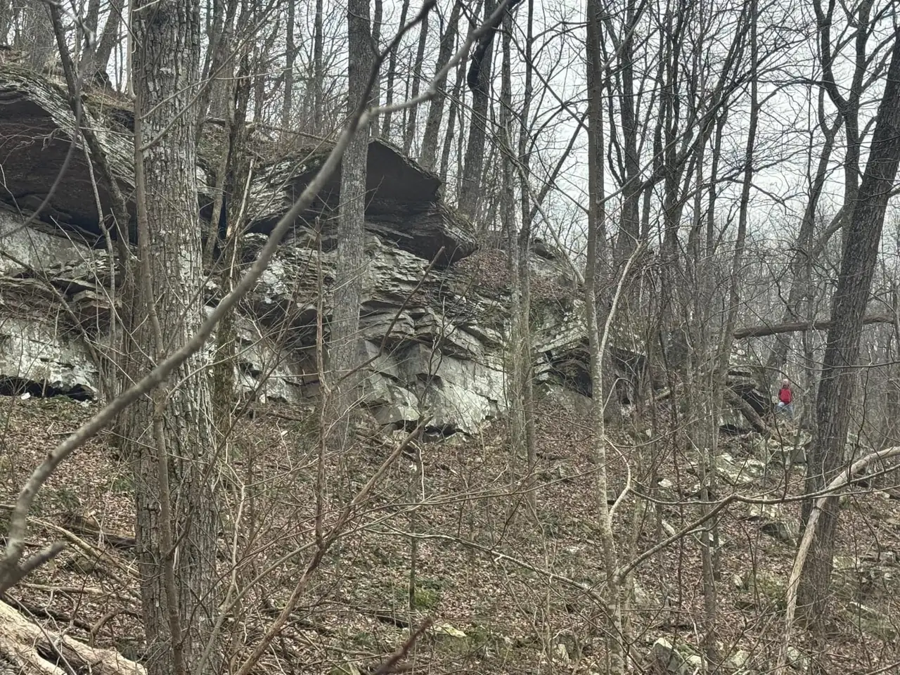 Tall layered rock cliffs among bare trees, with a hiker in a red jacket at the far right for scale