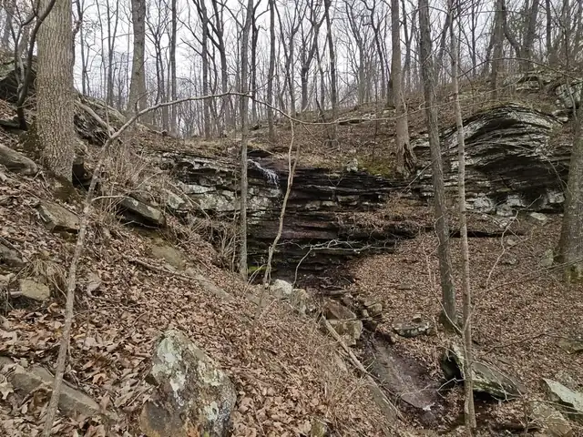 A small waterfall spilling over layered rock into a wooded hollow