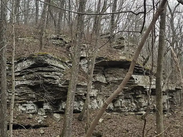 A long wall of layered rock ledges among bare winter trees