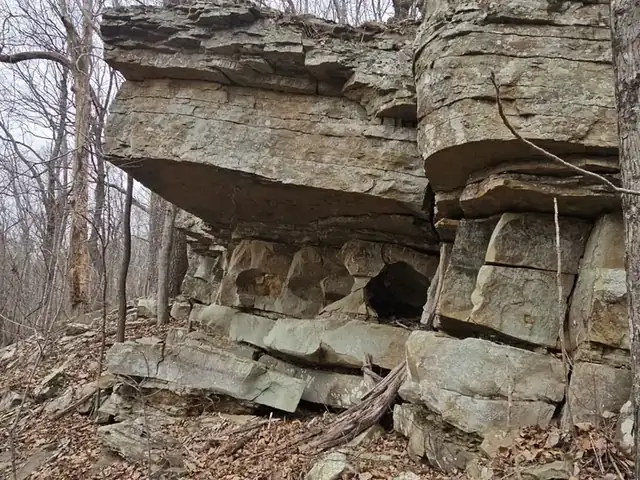 A rock overhang forming a shallow shelter on a wooded slope