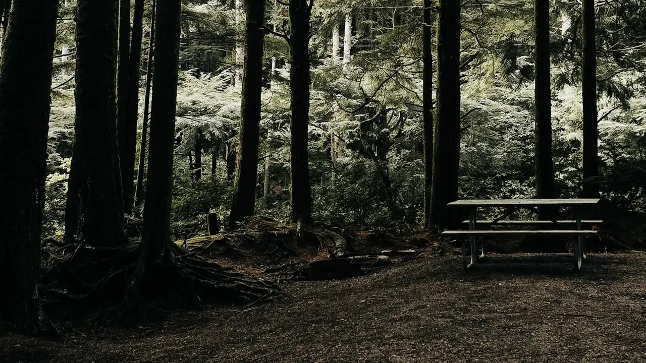 An empty wooded campsite with a picnic table and fire ring