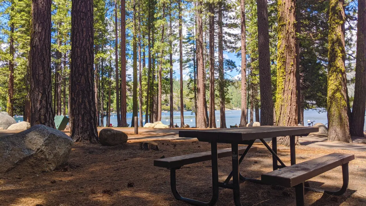 A shaded picnic table under tall pines beside a calm lake