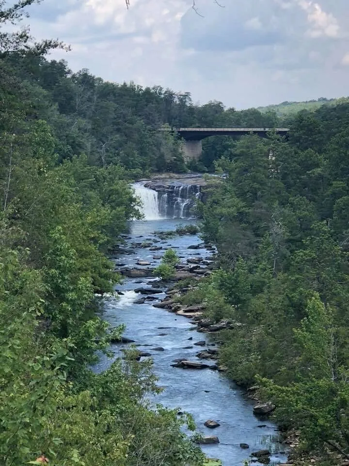 The Little River flowing through the forested canyon below Little River Falls and the Highway 35 bridge